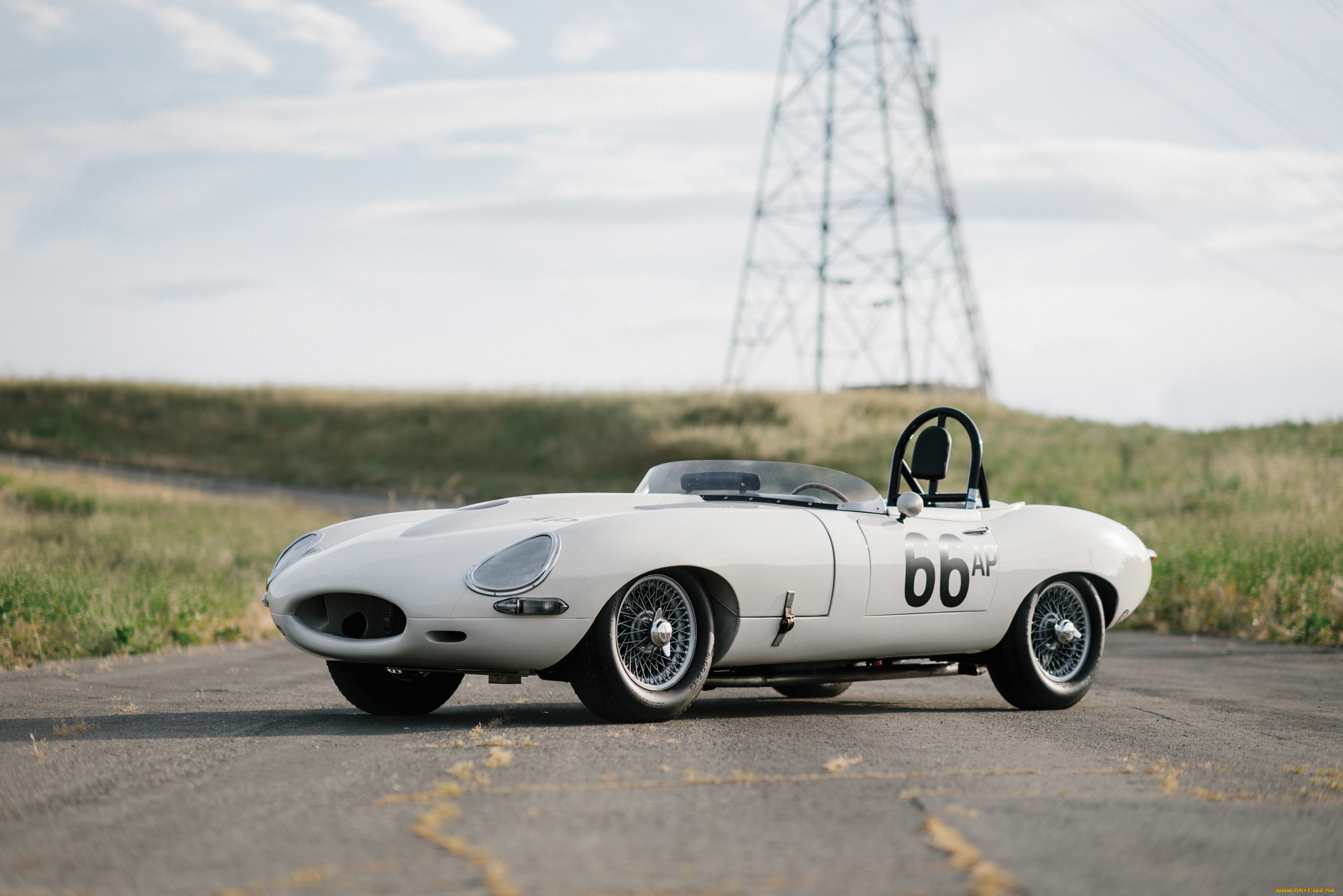 , jaguar